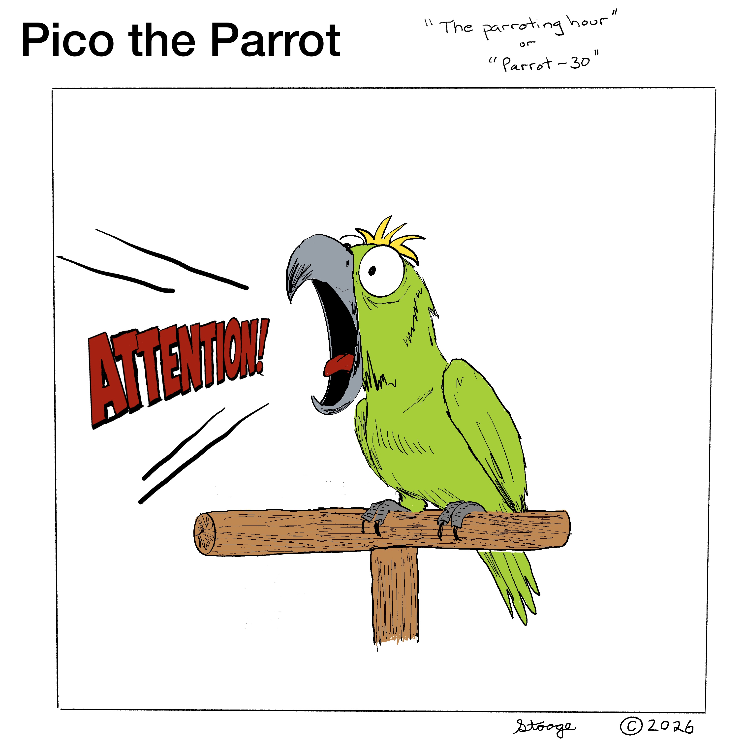 Pico the Parrot — Parrot Thirty