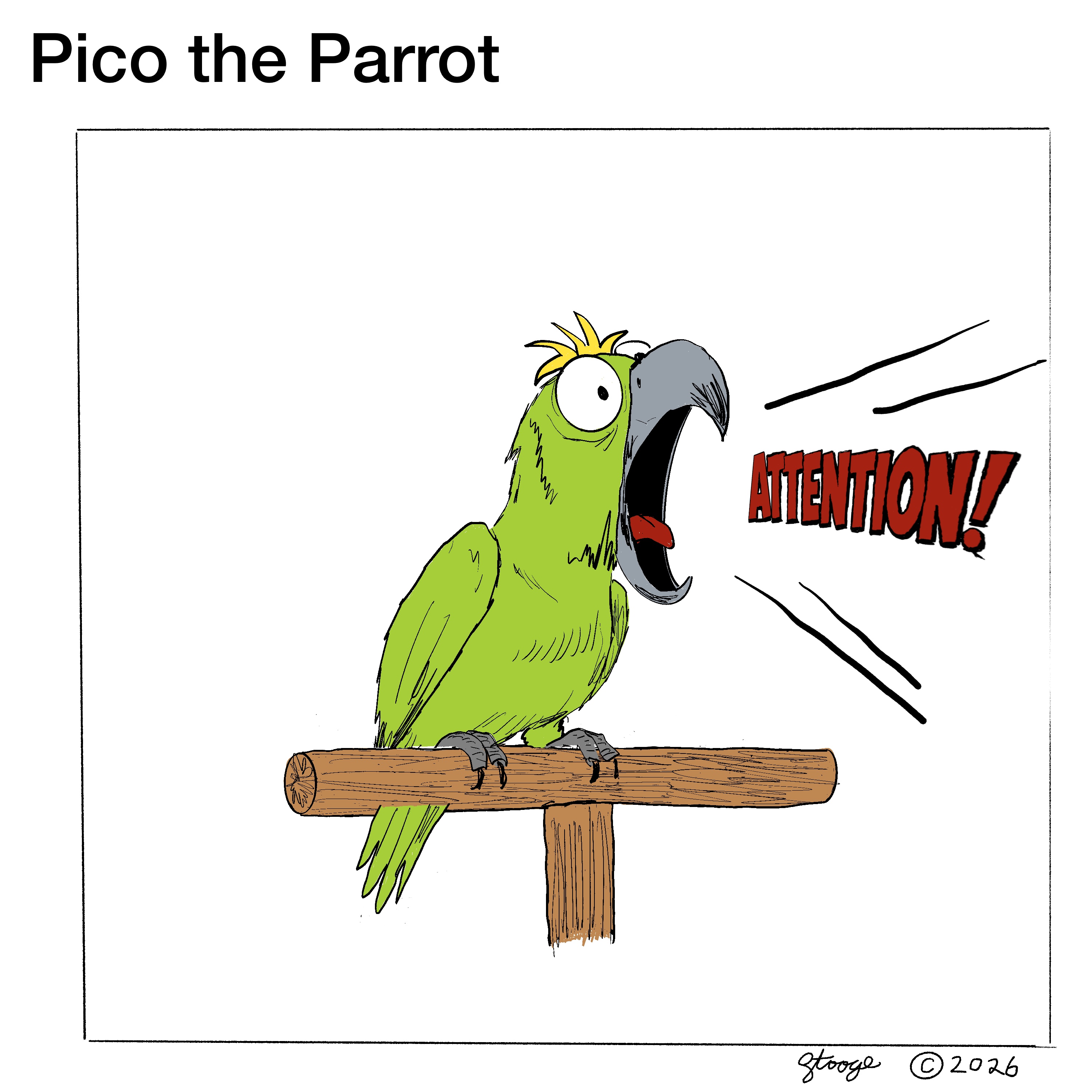 Parrot Thirty — panel 2 of 6