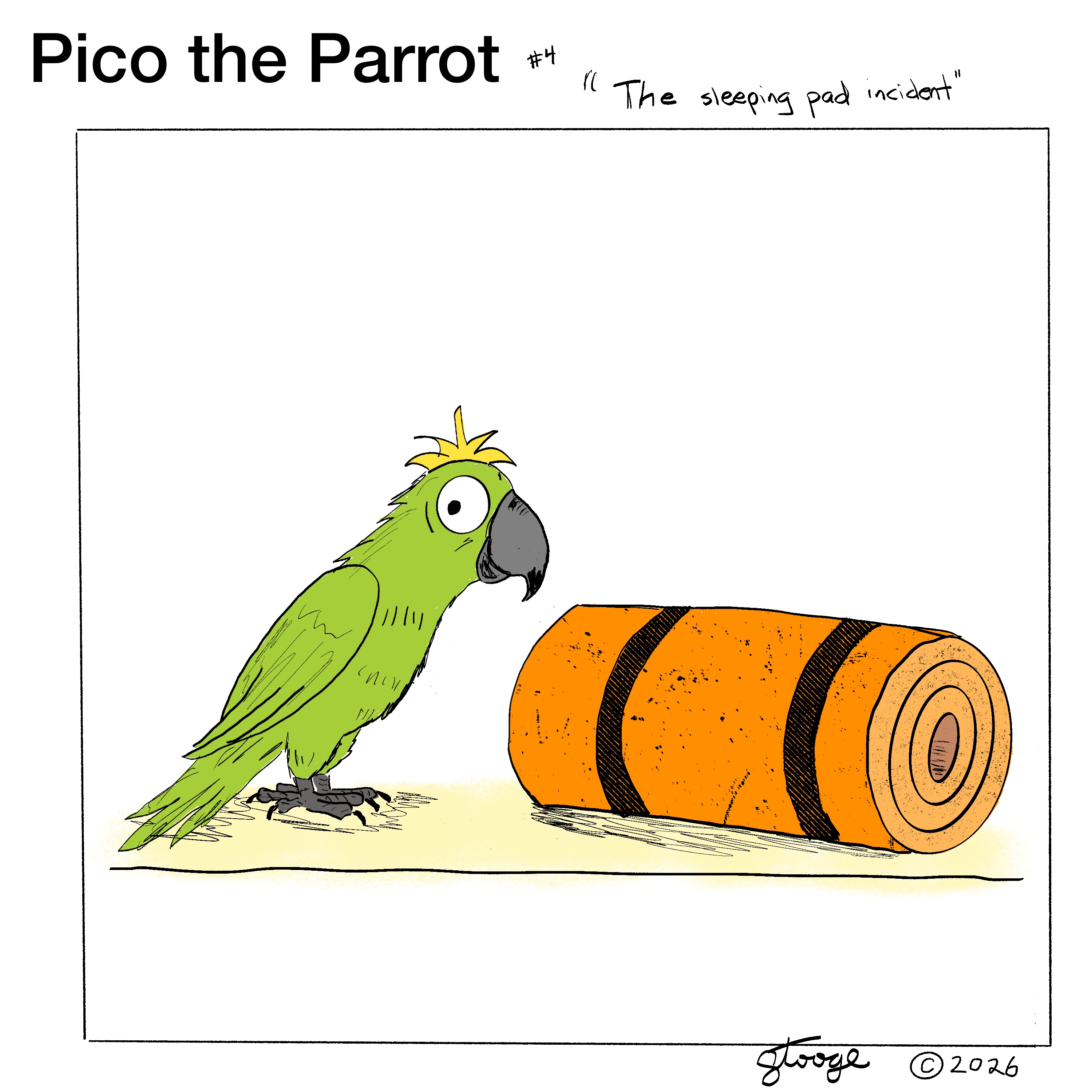 Pico the Parrot — The Sleeping Pad Incident