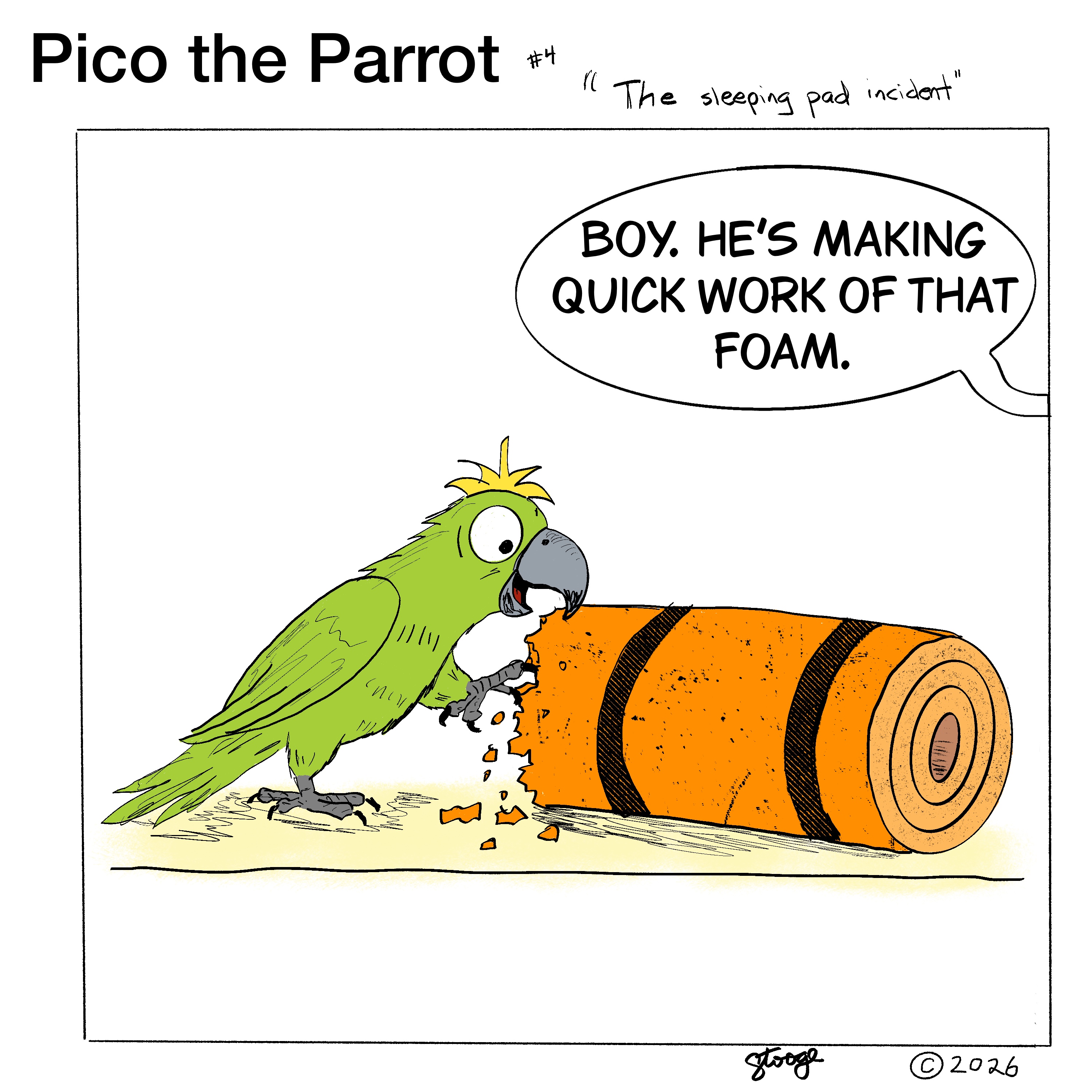 The Sleeping Pad Incident — panel 3 of 6