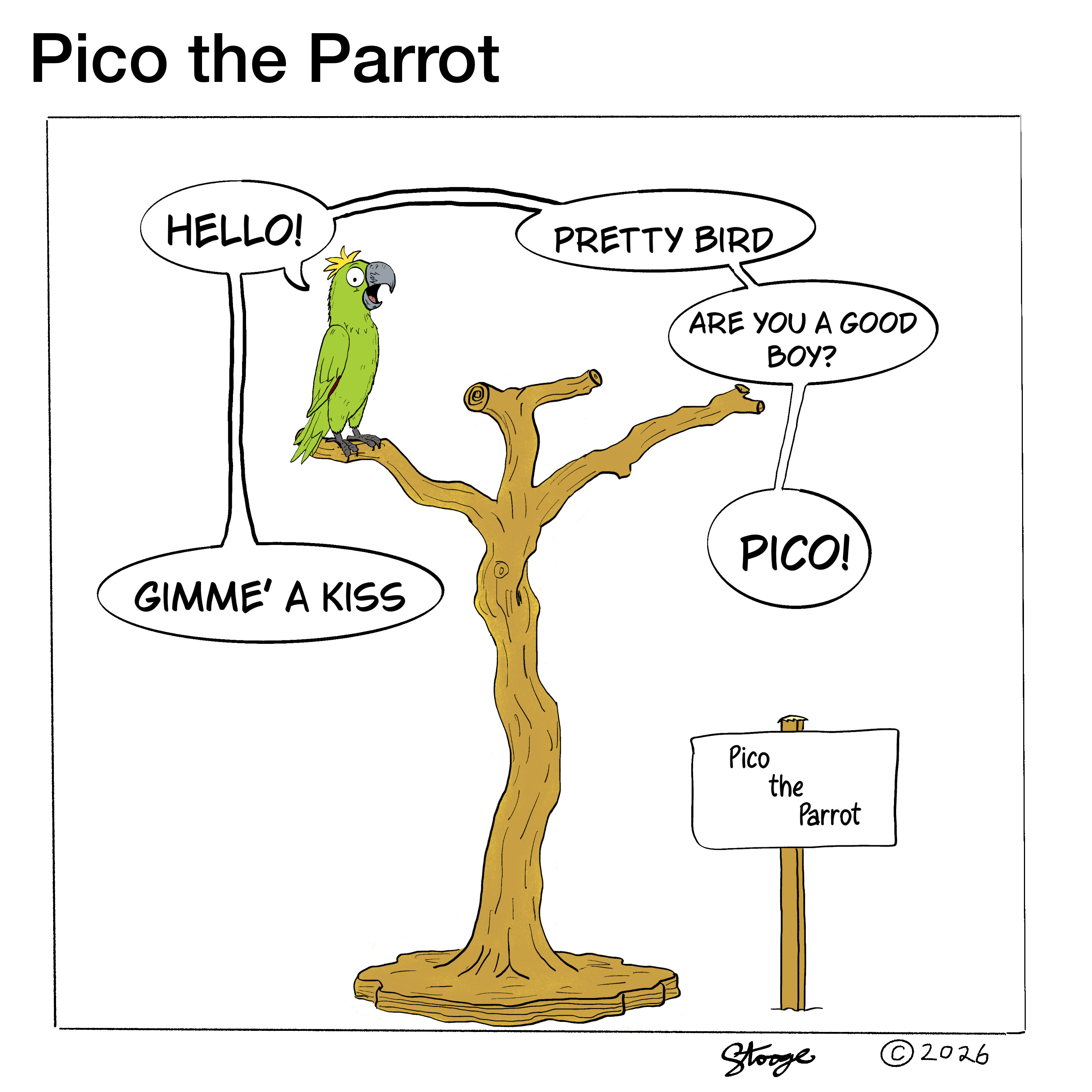 Pico the Parrot — The Talking Parrot