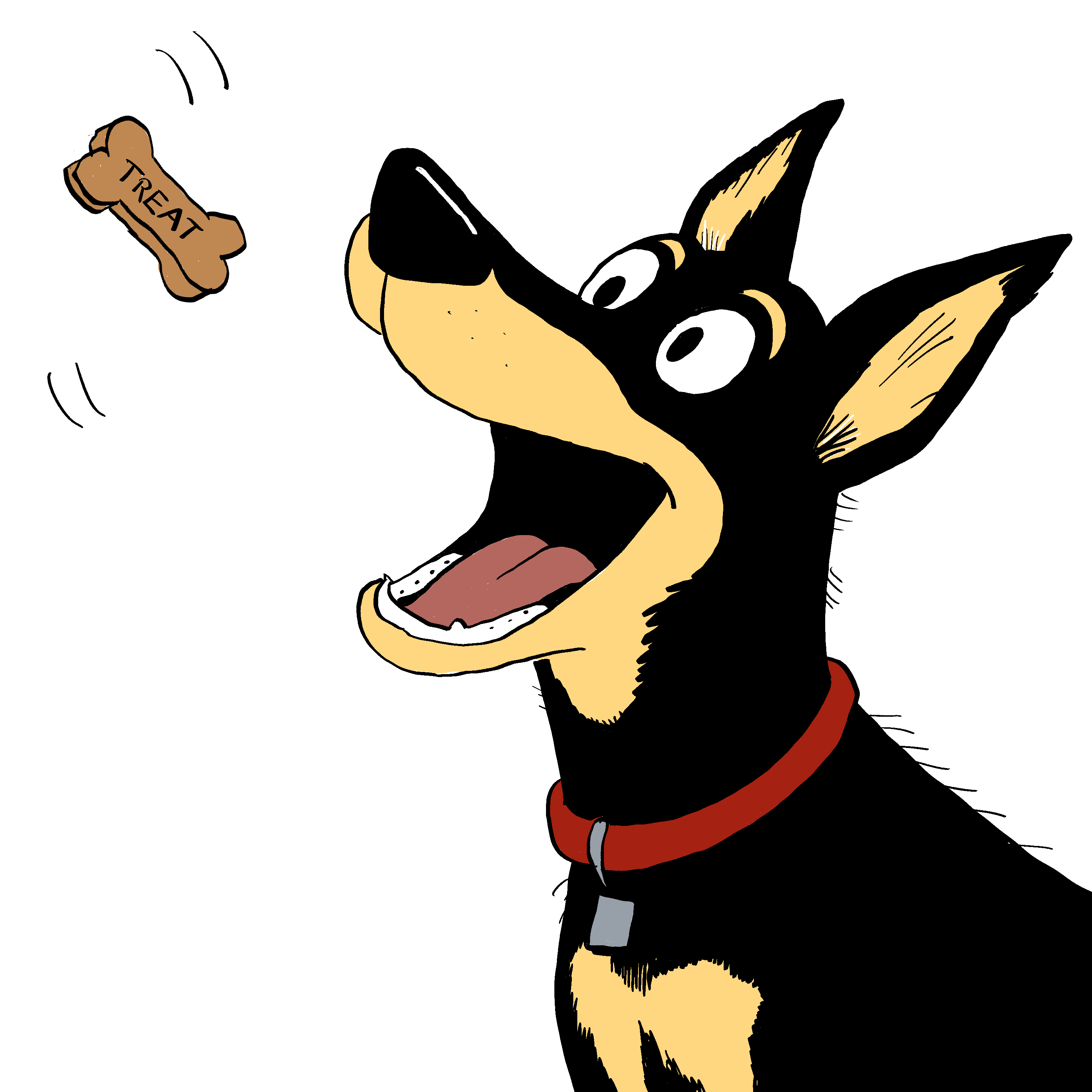 Fetch — panel 4 of 8