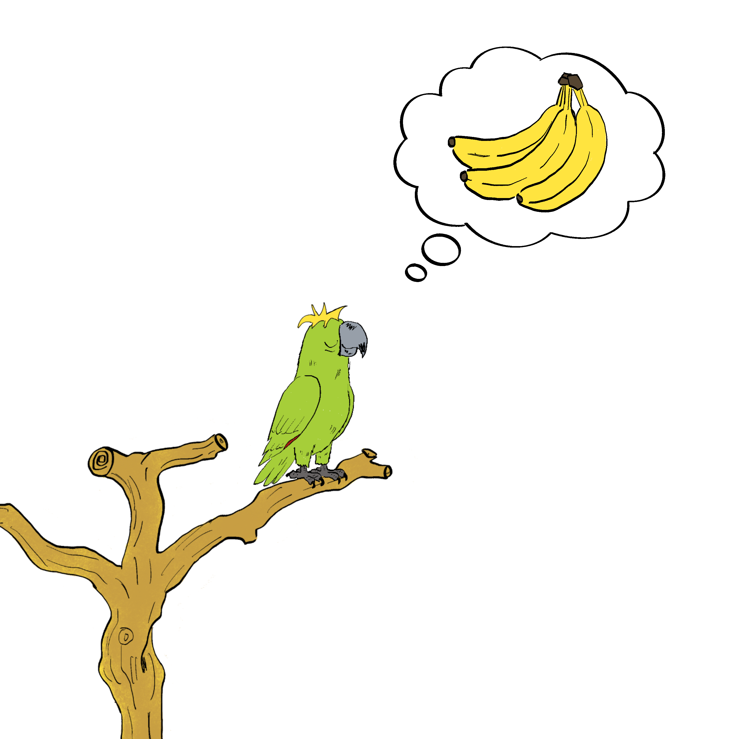 Fetch — panel 6 of 8