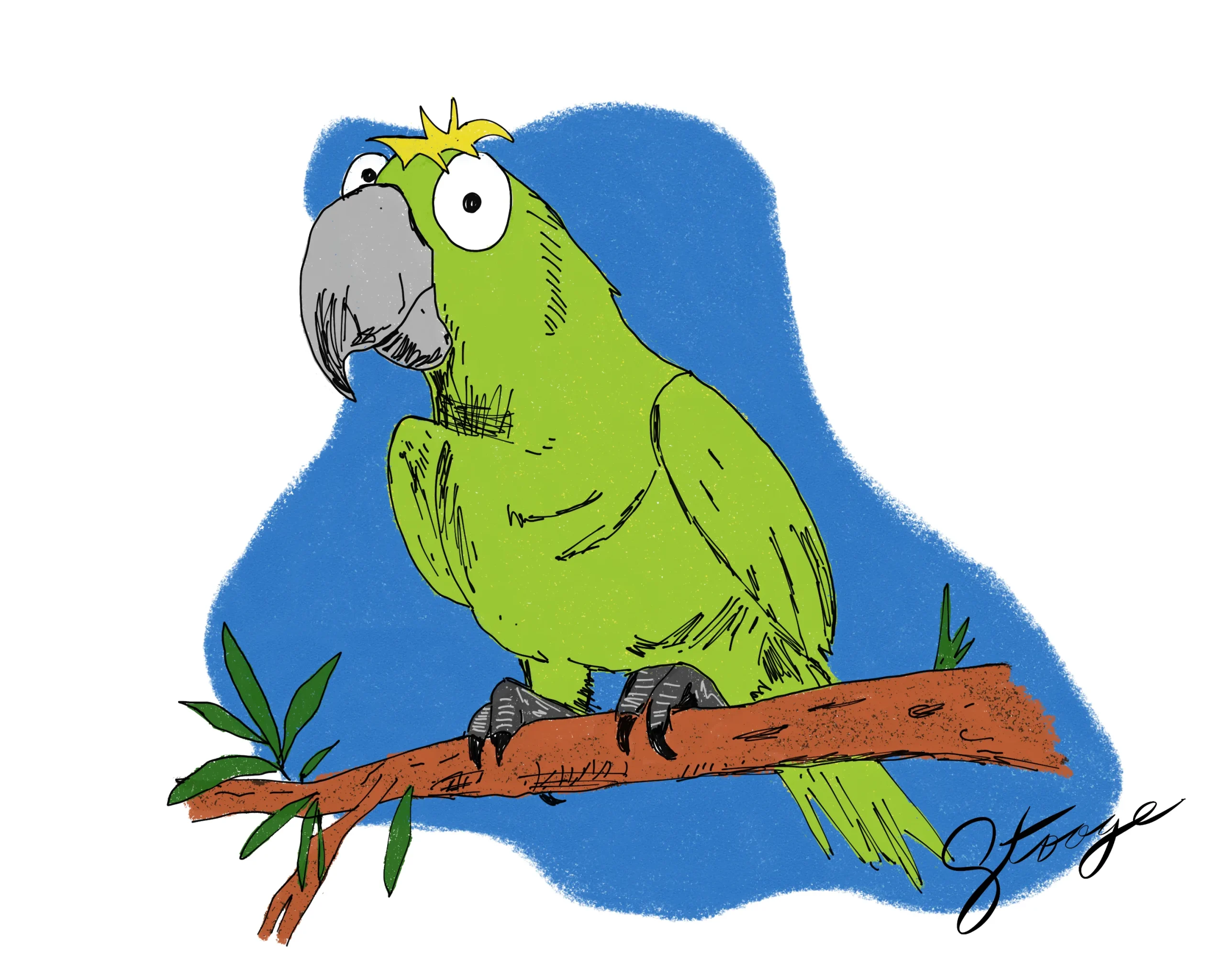 Day 1: Pico the Parrot