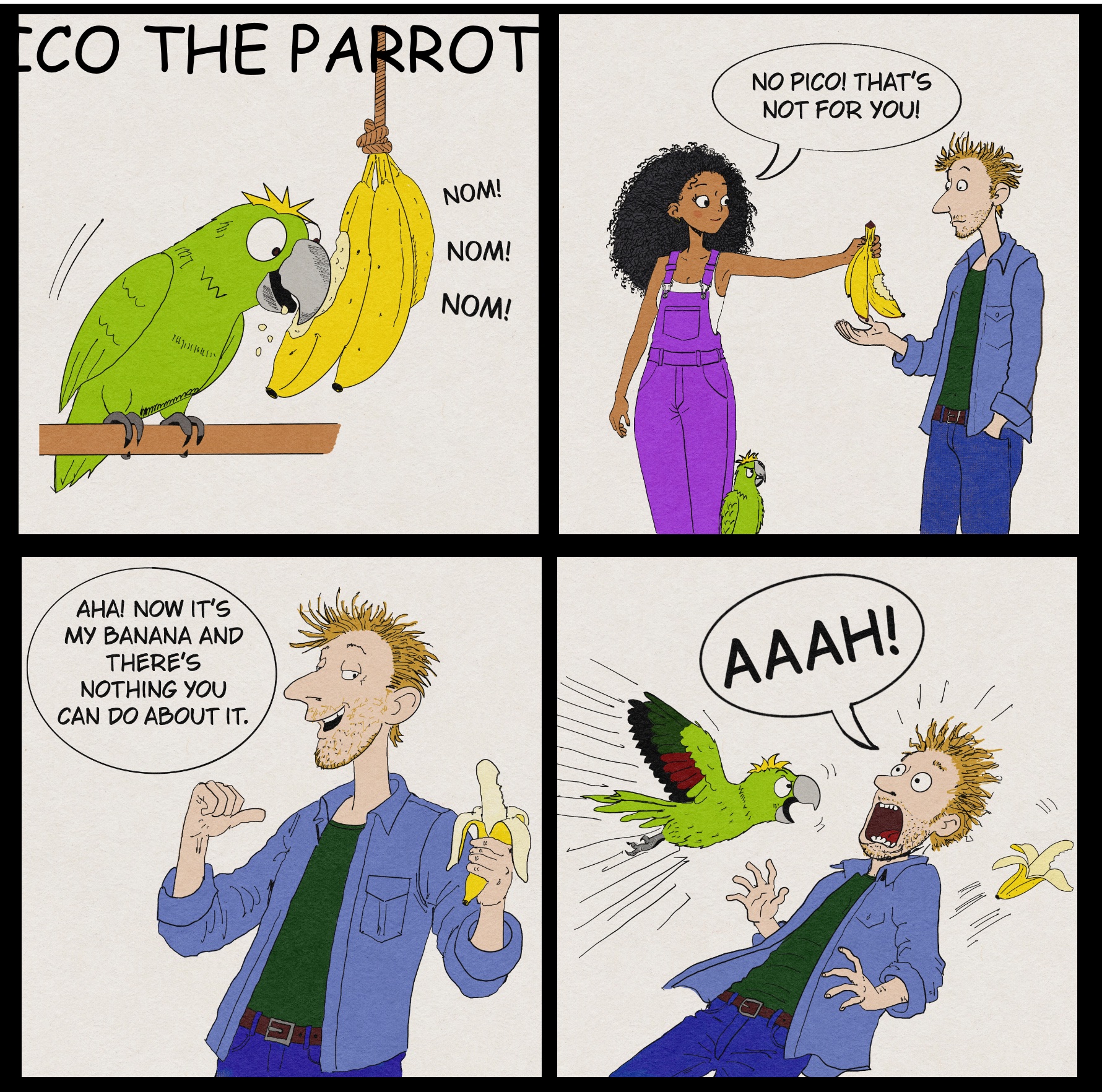 Day 14: Pico the Parrot #1