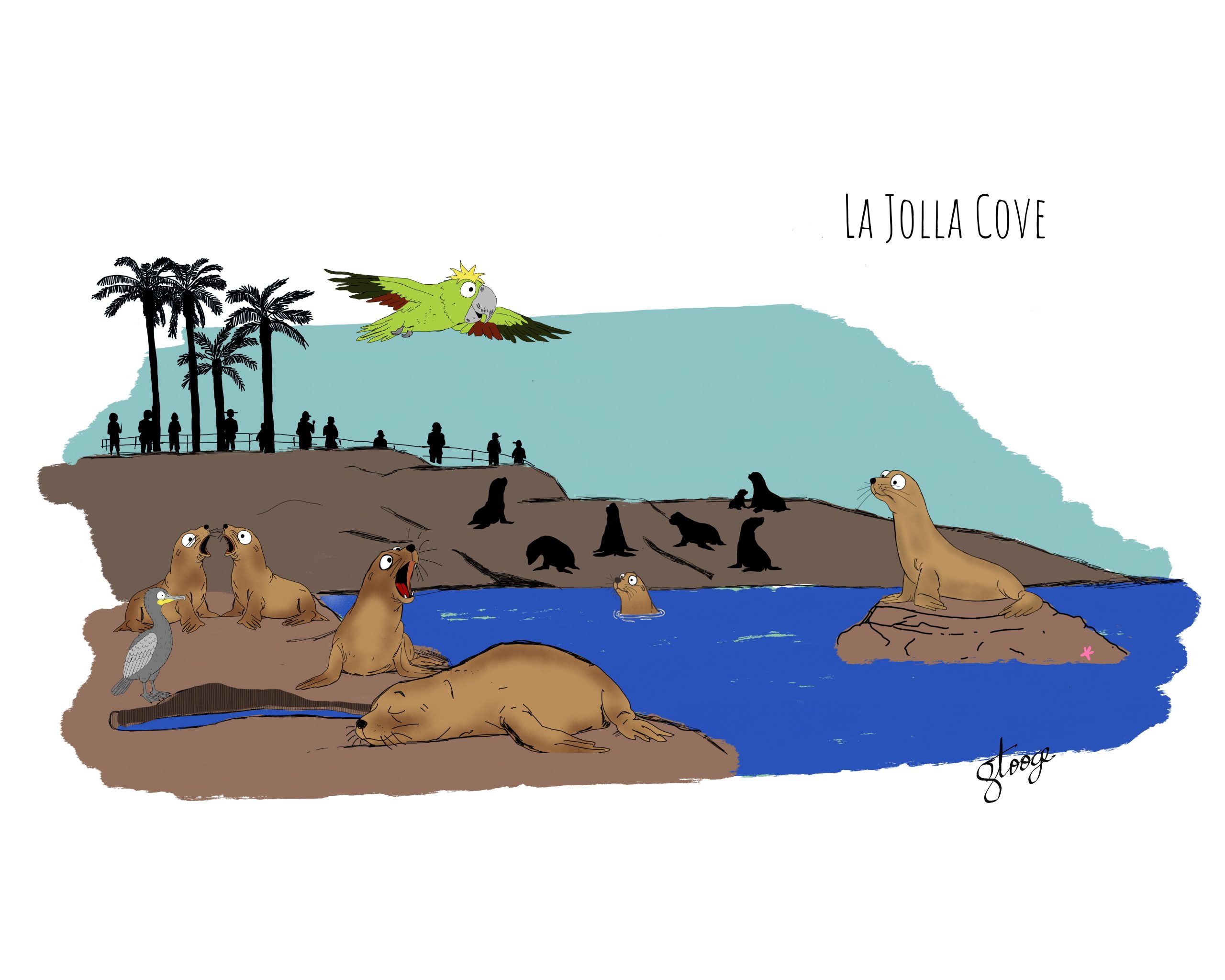 Day 15: La Jolla Cove