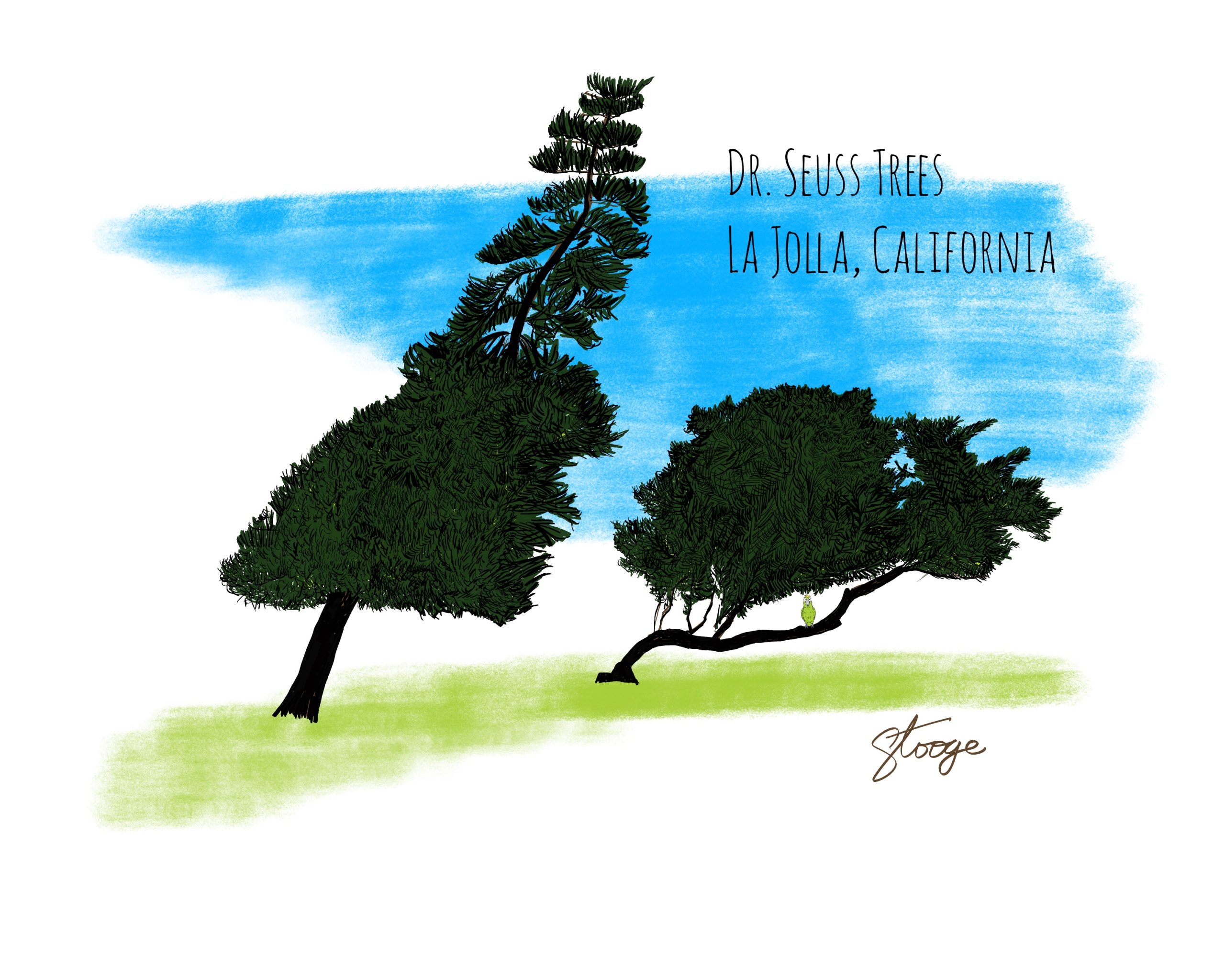 Day 18: Dr. Seuss Trees