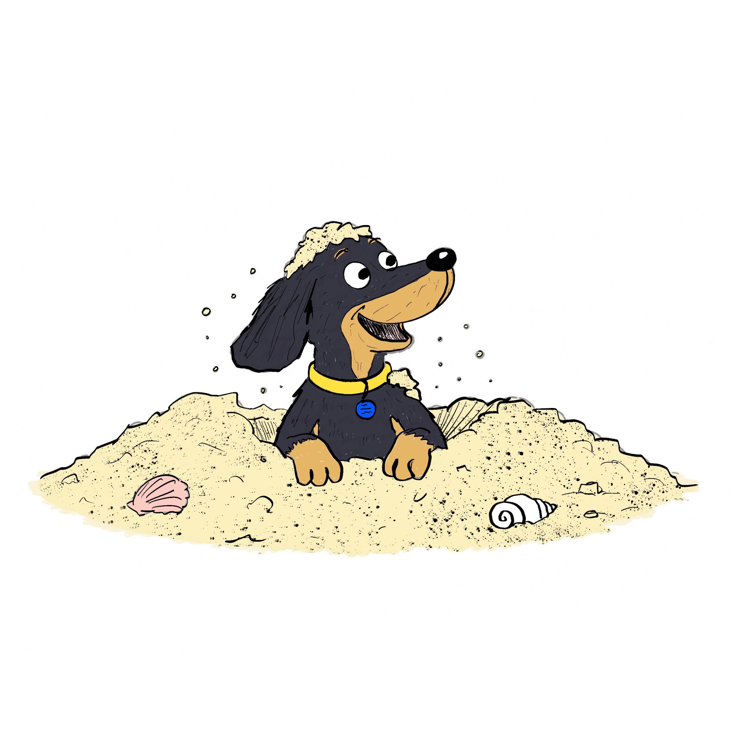 Day 21: Dog Beach