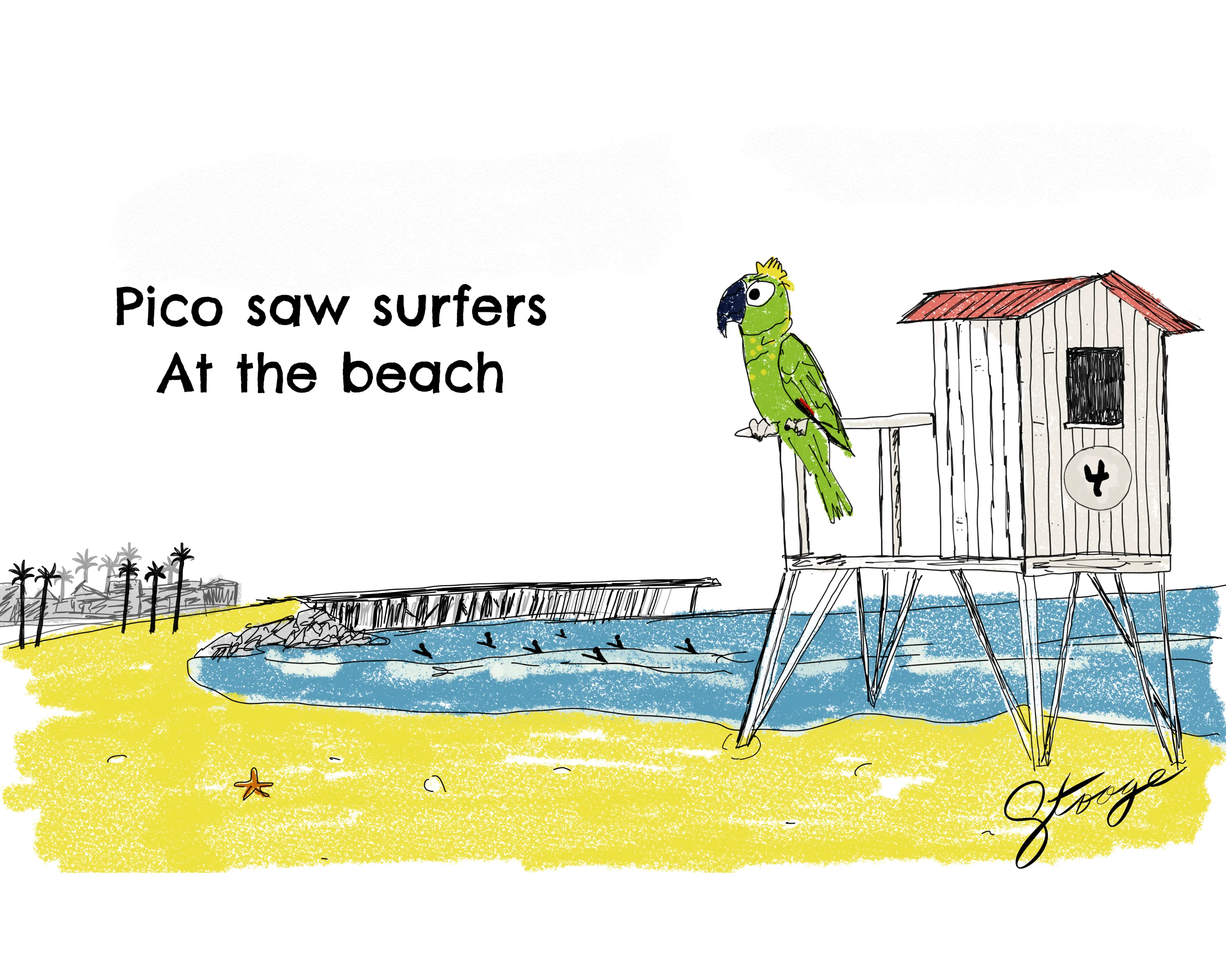 Pico watches surfers
