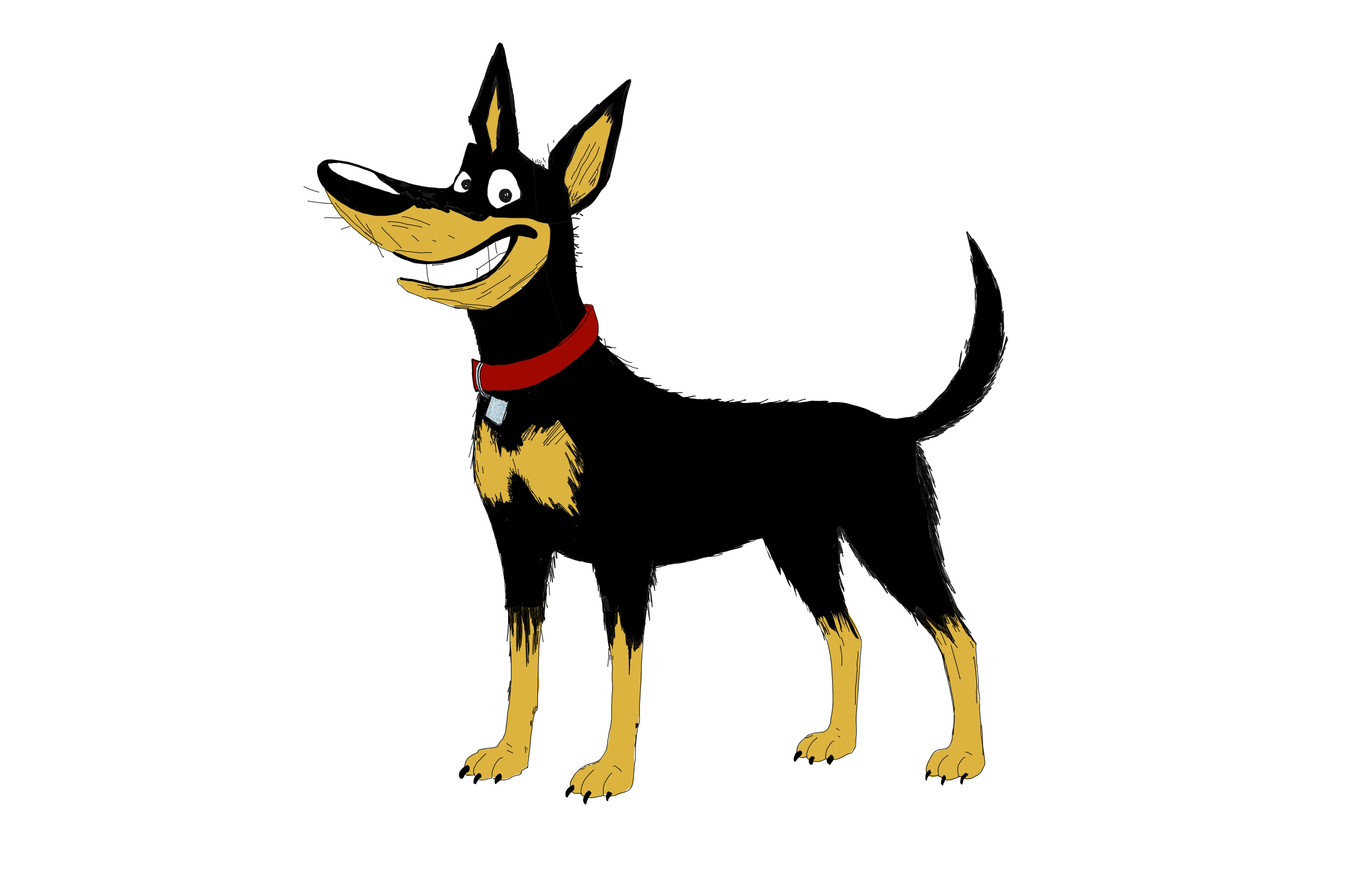 Rocket the dog