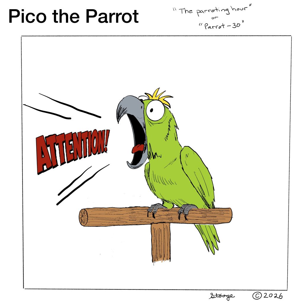 Pico the Parrot — Strip #3: Parrot Thirty