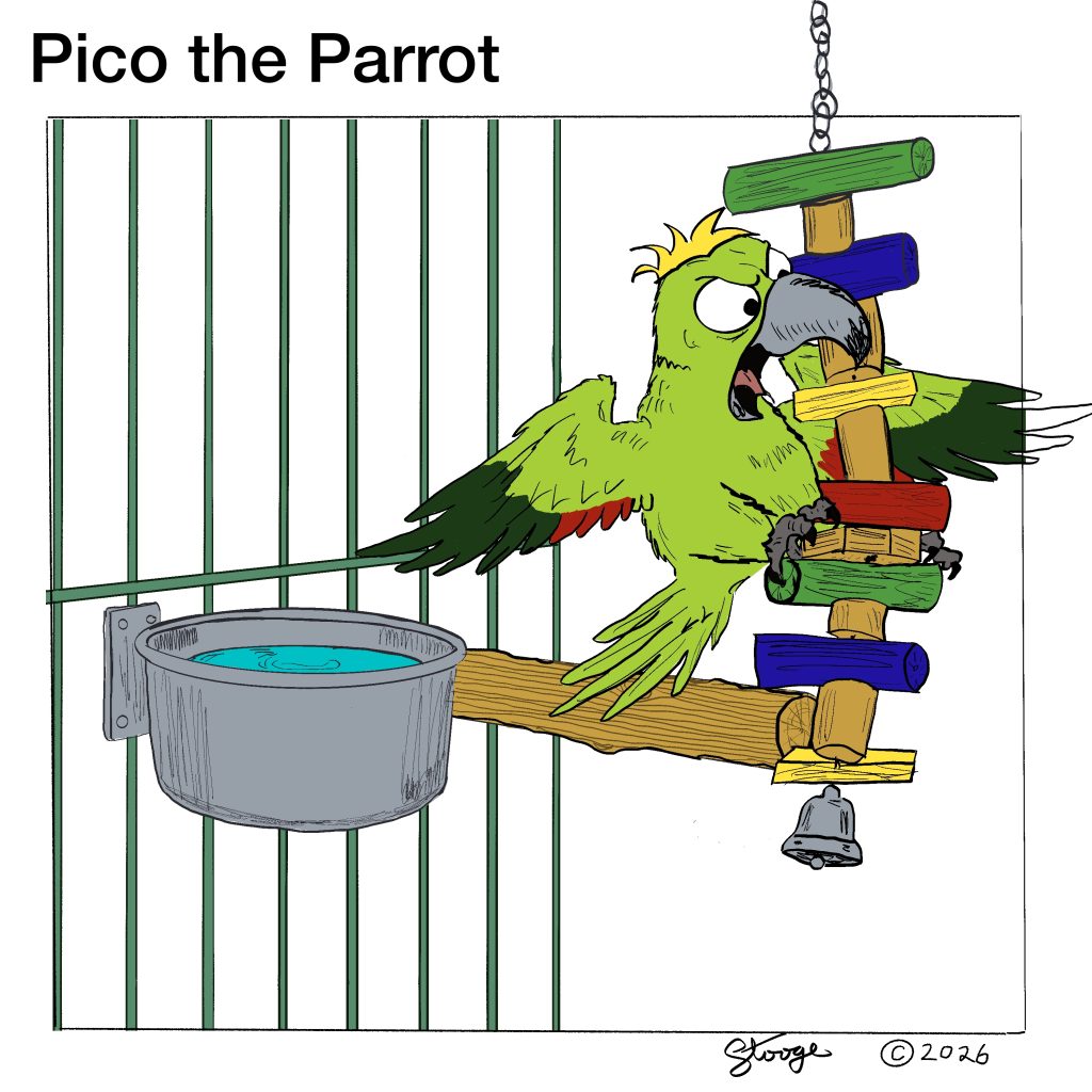 Pico the Parrot — Strip #5: The Battle of William Tangletoy